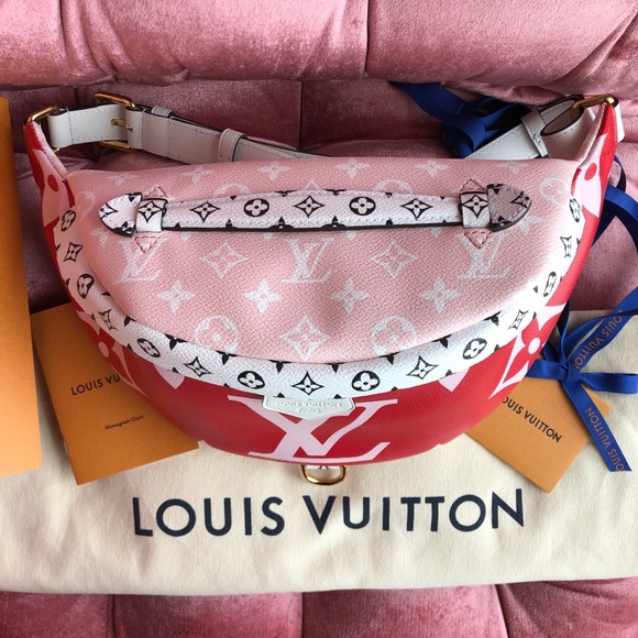 SOLD🔥Limited Edition Louis Vuitton Bumbag NWT❤️ - Picture 4 of 8
